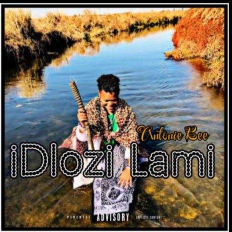 iDlozi Lami ft. SII VKAY | Boomplay Music