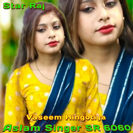 Aslam Singer SR 6060 | Boomplay Music