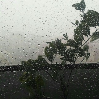 rain