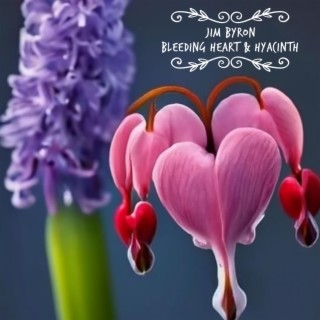 Bleeding Heart & Hyacinth