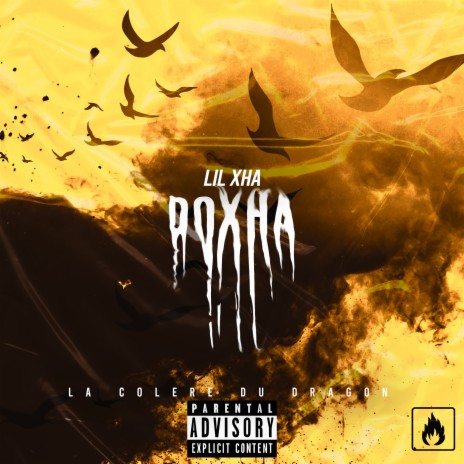 DOXHA | Boomplay Music