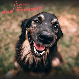 Paws and Forever