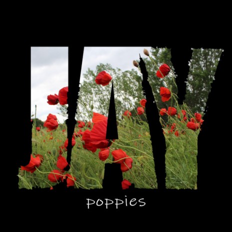 Poppies