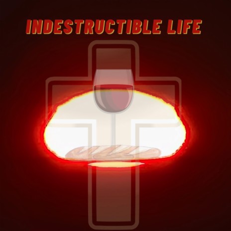 Indestructible Life | Boomplay Music