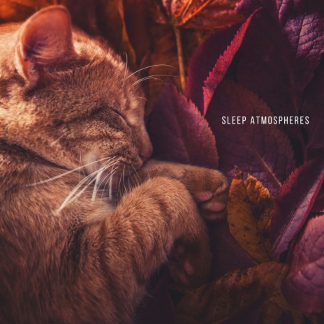 Stepladders to Peace ft. Meditation Zen & Music for Sleep | Boomplay Music