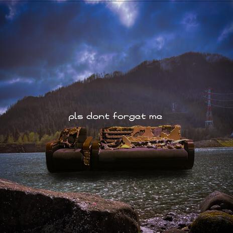 pls dont forget me | Boomplay Music