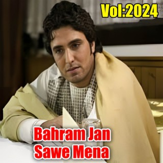 Sawe Mena.Vol,2024