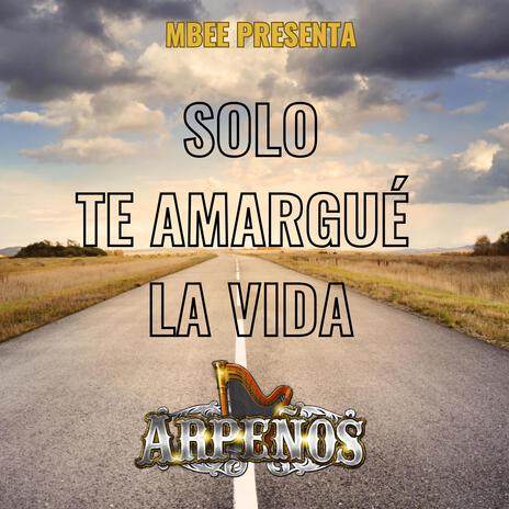 Solo Te Amargué La Vida | Boomplay Music