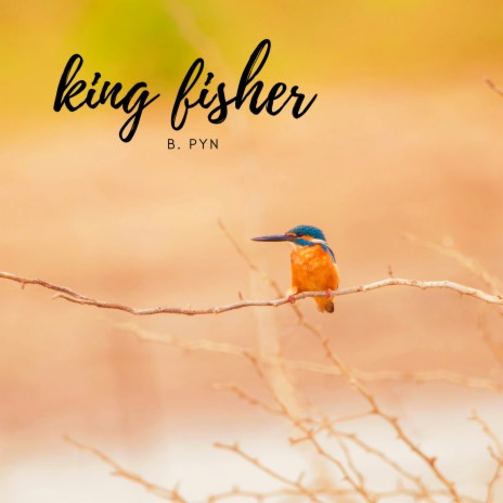 kingfisher | Boomplay Music