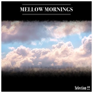 Mellow Mornings Selection 22