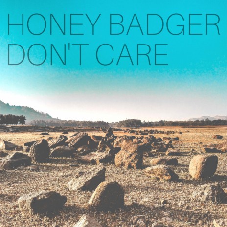 Honey Badger Don't Care | Boomplay Music