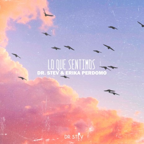 Lo Que Sentimos ft. Erika Perdomo | Boomplay Music