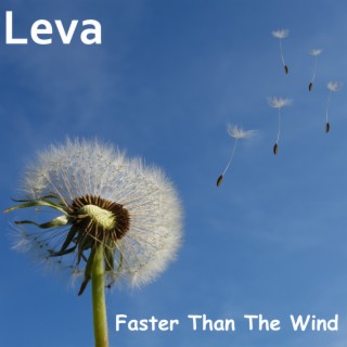 Faster Than The Wind