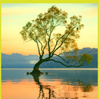 Tree in the Water