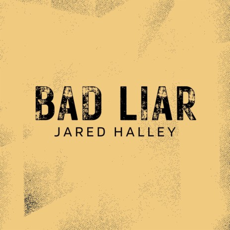 Bad Liar (Acapella Version) | Boomplay Music