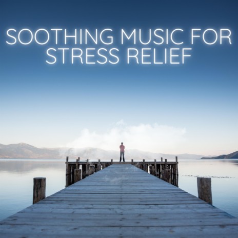 Healing Harmony Tranquil Music for Relaxation and Healing ft. Soothing Chill Out for Insomnia & Thai Massage Music | Boomplay Music