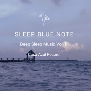 Deep Sleep Music Vol. III
