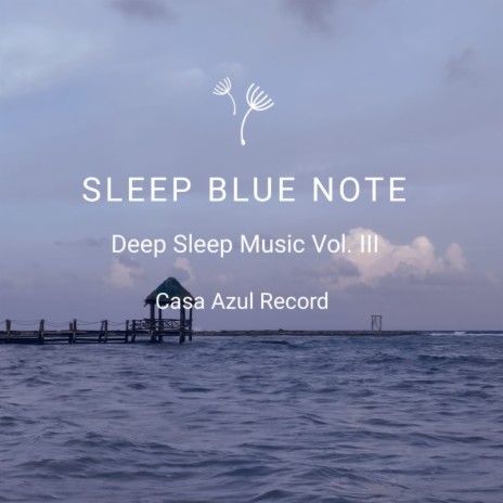 Deep Sleep Music Part. I