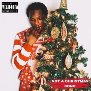 Not A Christmas Song lyrics | Boomplay Music
