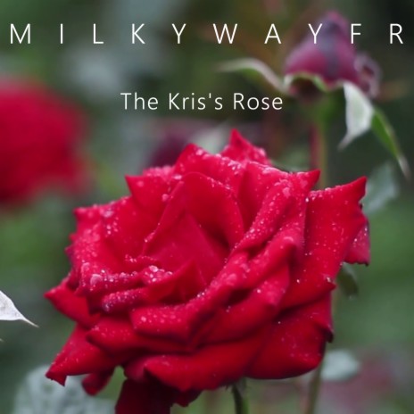 The Kris's Rose | Boomplay Music