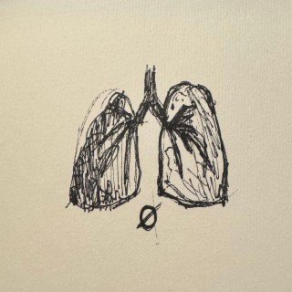 lungs