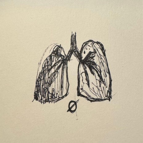 lungs | Boomplay Music