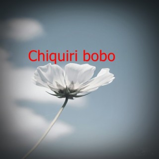 Chiquiri bobo