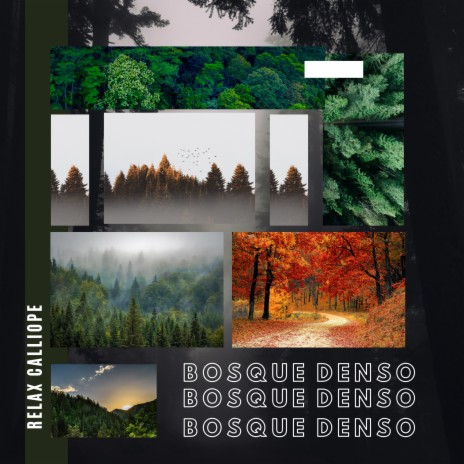 Bosque Denso