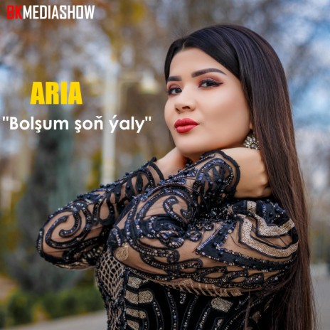 Bolşum Şoň Ýaly | Boomplay Music