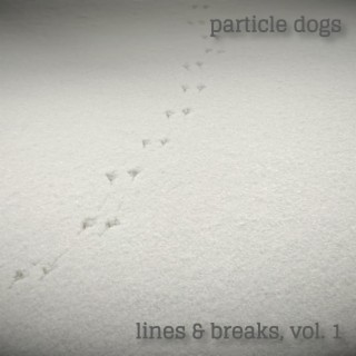 lines & breaks, vol. 1