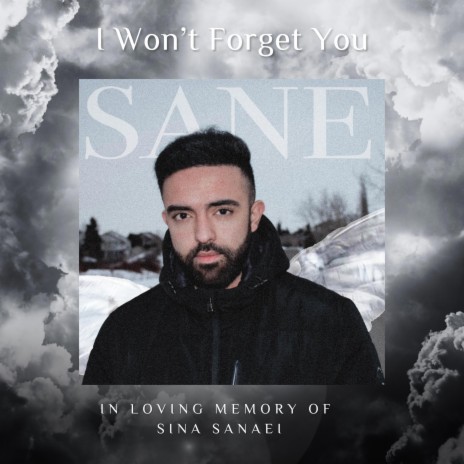 I Won't Forget You | Boomplay Music