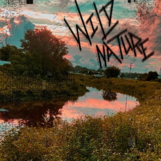 Wild Nature