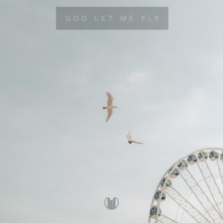 God Let Me Fly