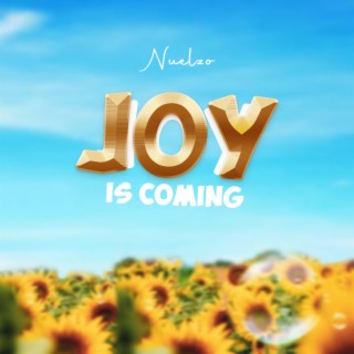 Joy is Coming lyrics | Boomplay Music
