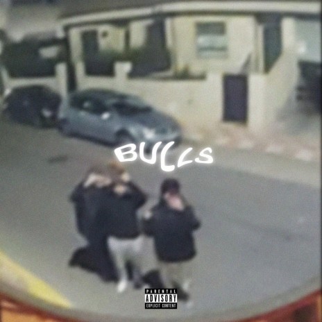 BULLS ft. Nutsvk | Boomplay Music
