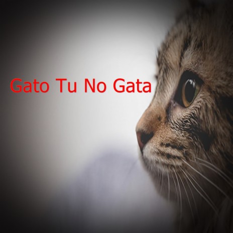 Gato Tu No Gata ft. Daurin Artista