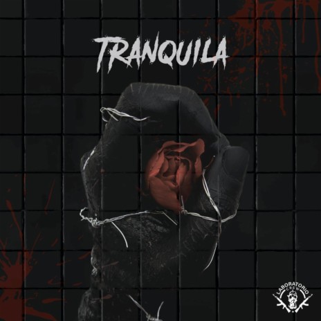 Tranquila | Boomplay Music