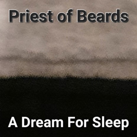 A Dream For Sleep | Boomplay Music