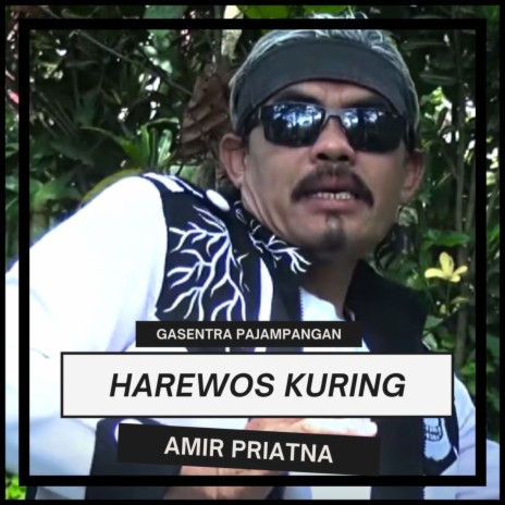 Harewos Kuring ft. Amir Priatna | Boomplay Music