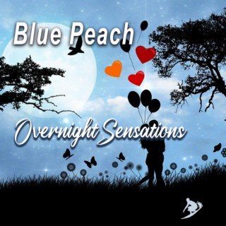 Overnight Sensations