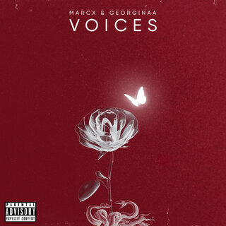 Voices