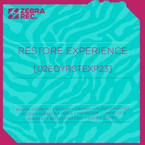 XLR8 ft. Zebra Rec. | Boomplay Music