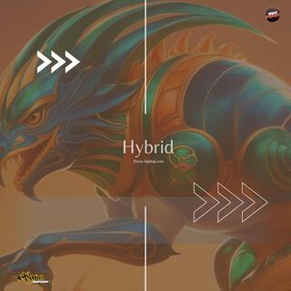 Hybrid