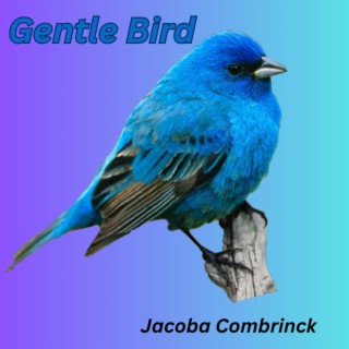 Naptime Music: Gentle Bird