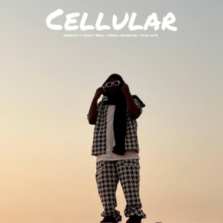 Cellular