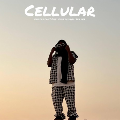 Cellular ft. Naco, Ntando yamahlubi & Blaq note