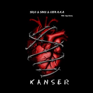 Kanser