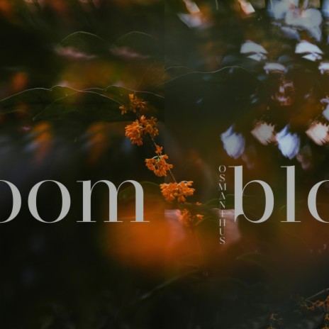 Bloom | Boomplay Music