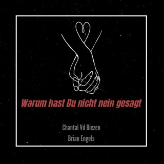 Warum hast Du nicht nein gesagt (Club Mix)