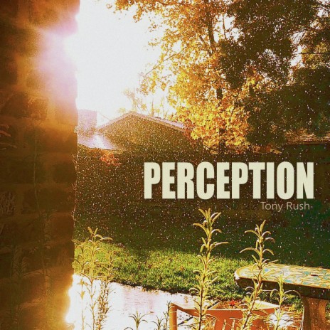 Perception | Boomplay Music